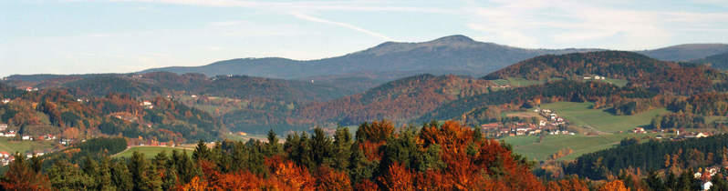 Bavarian forest